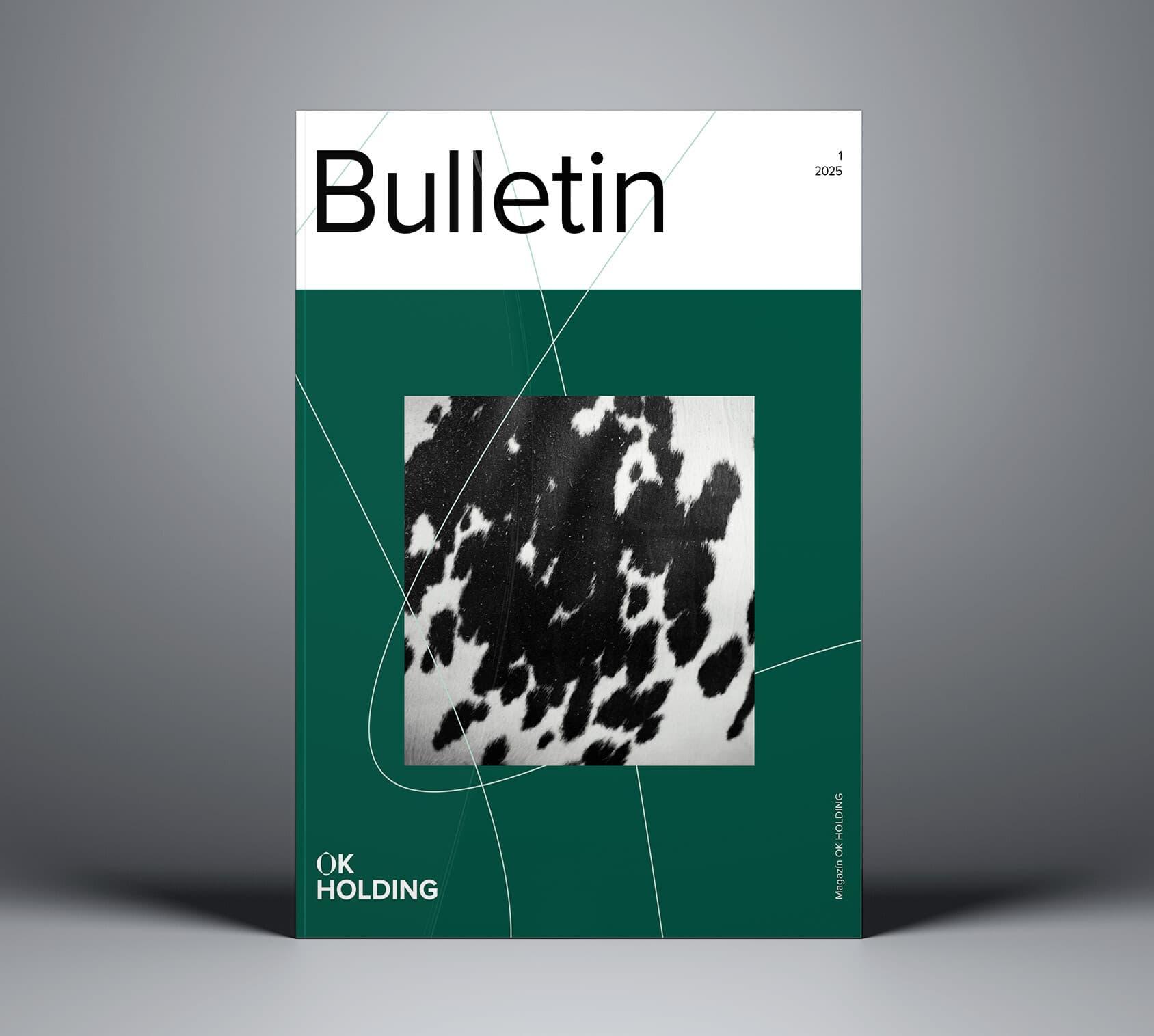 Náhled OK HOLDING BULLETIN 1/2025